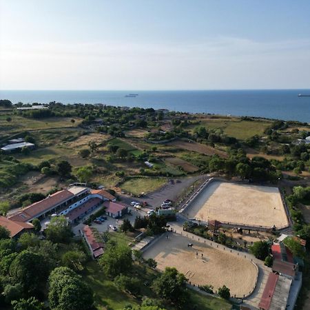 Mavi At Hotel Blue Horse Gumusdere Екстер'єр фото