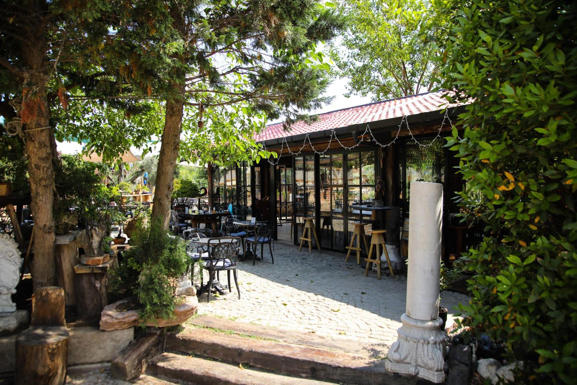 Mavi At Hotel Blue Horse Gumusdere Екстер'єр фото