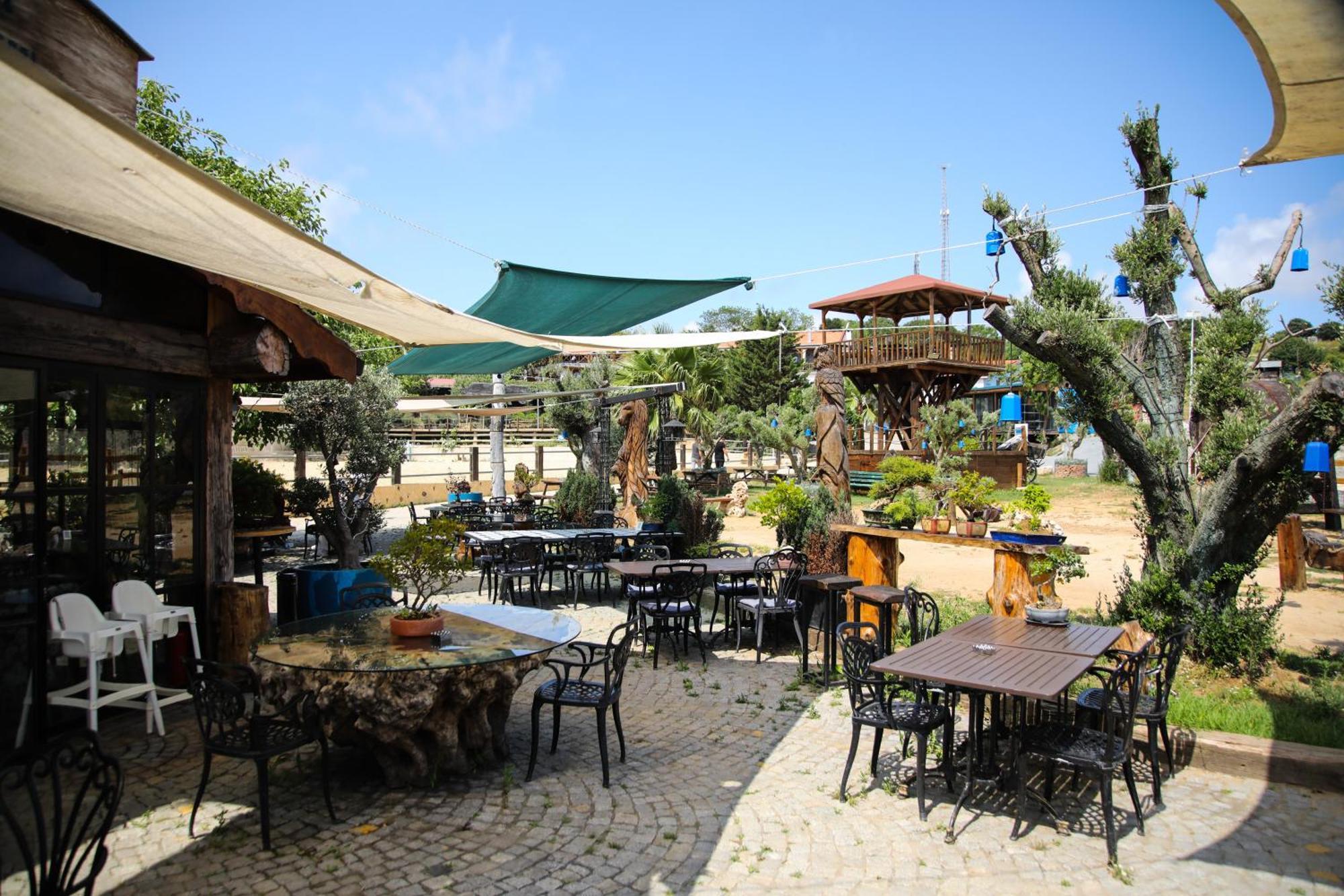 Mavi At Hotel Blue Horse Gumusdere Екстер'єр фото