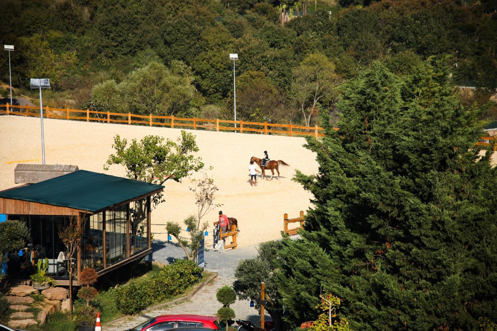 Mavi At Hotel Blue Horse Gumusdere Екстер'єр фото